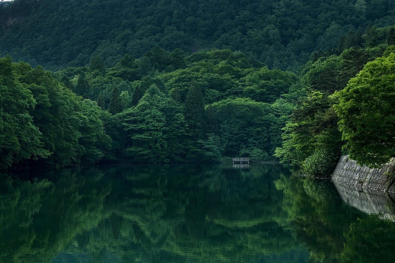 Elven Sanctuary
